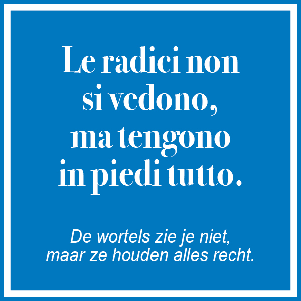 CIAO_postes 255